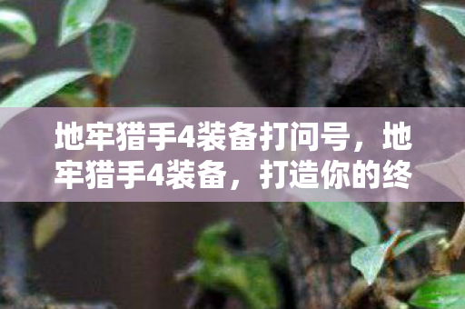 地牢猎手4装备打问号,地牢猎手4装备,打造你的终极战斗装备 地牢猎手4装备打问号,地牢猎手4装备,打造你的终极战斗装备
