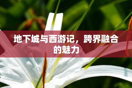 地下城与西游记,跨界融合的魅力 地下城与西游记,跨界融合的魅力