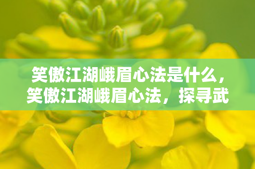 笑傲江湖峨眉心法是什么,笑傲江湖峨眉心法,探寻武侠世界的奥秘 笑傲江湖峨眉心法是什么,笑傲江湖峨眉心法,探寻武侠世界的奥秘