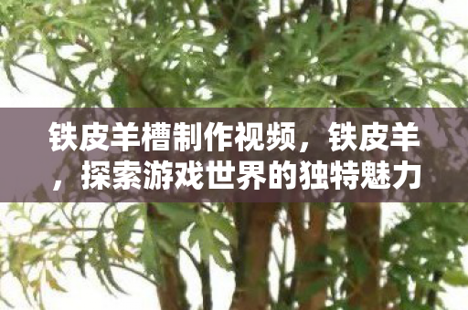 铁皮羊槽制作视频,铁皮羊,探索游戏世界的独特魅力 铁皮羊槽制作视频,铁皮羊,探索游戏世界的独特魅力