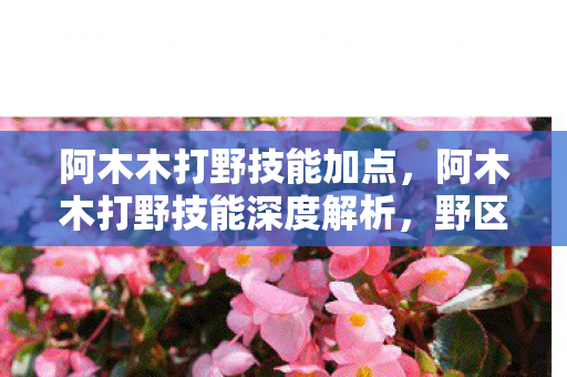 阿木木打野技能加点,阿木木打野技能深度解析,野区掌控与团战爆发 阿木木打野技能加点,阿木木打野技能深度解析,野区掌控与团战爆发