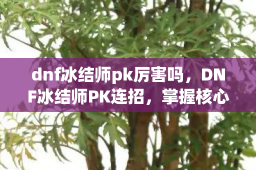 dnf冰结师pk厉害吗,DNF冰结师PK连招,掌握核心技巧,打造无敌连招 dnf冰结师pk厉害吗,DNF冰结师PK连招,掌握核心技巧,打造无敌连招
