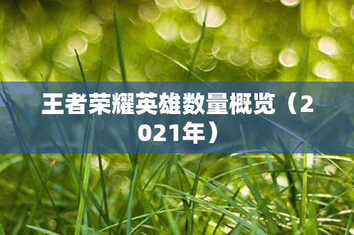 王者荣耀英雄数量概览（2021年）