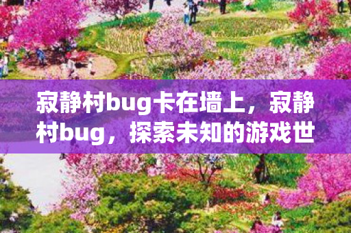 寂静村bug卡在墙上,寂静村bug,探索未知的游戏世界漏洞 寂静村bug卡在墙上,寂静村bug,探索未知的游戏世界漏洞