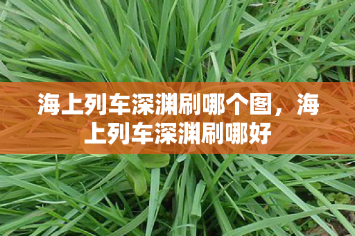 海上列车深渊刷哪个图,海上列车深渊刷哪好 海上列车深渊刷哪个图,海上列车深渊刷哪好
