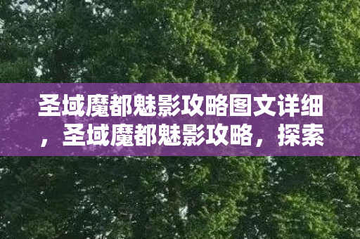 圣域魔都魅影攻略图文详细,圣域魔都魅影攻略,探索神秘世界的全面指南 圣域魔都魅影攻略图文详细,圣域魔都魅影攻略,探索神秘世界的全面指南