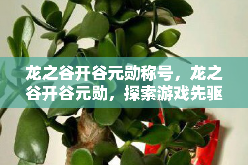 龙之谷开谷元勋称号,龙之谷开谷元勋,探索游戏先驱的辉煌历程 龙之谷开谷元勋称号,龙之谷开谷元勋,探索游戏先驱的辉煌历程