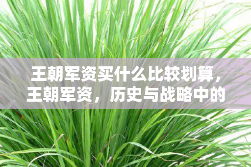 王朝军资买什么比较划算,王朝军资,历史与战略中的军事资源积累 王朝军资买什么比较划算,王朝军资,历史与战略中的军事资源积累