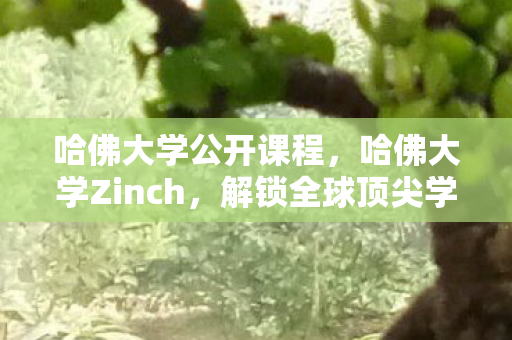 哈佛大学公开课程,哈佛大学Zinch,解锁全球顶尖学府的数据宝藏 哈佛大学公开课程,哈佛大学Zinch,解锁全球顶尖学府的数据宝藏