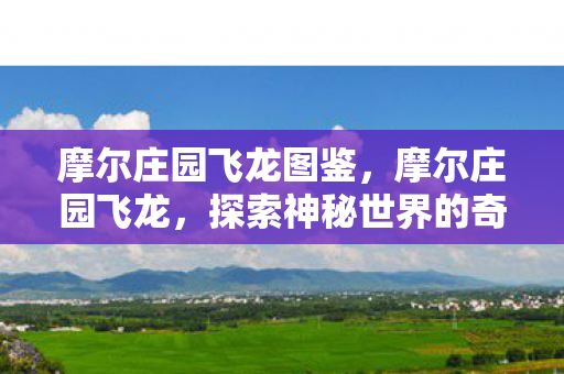 摩尔庄园飞龙图鉴,摩尔庄园飞龙,探索神秘世界的奇幻之旅 摩尔庄园飞龙图鉴,摩尔庄园飞龙,探索神秘世界的奇幻之旅