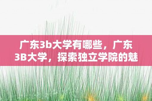 广东3b大学有哪些,广东3B大学,探索独立学院的魅力与挑战 广东3b大学有哪些,广东3B大学,探索独立学院的魅力与挑战