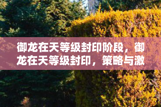 御龙在天等级封印阶段，御龙在天等级封印，策略与激情的碰撞