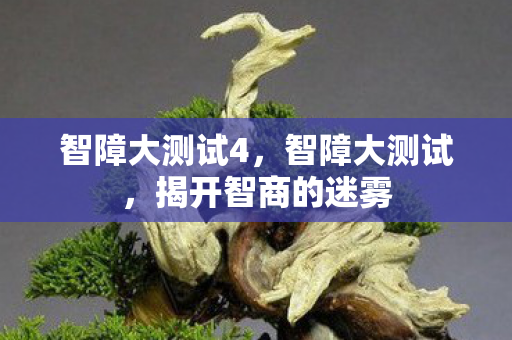 智障大测试4，智障大测试，揭开智商的迷雾