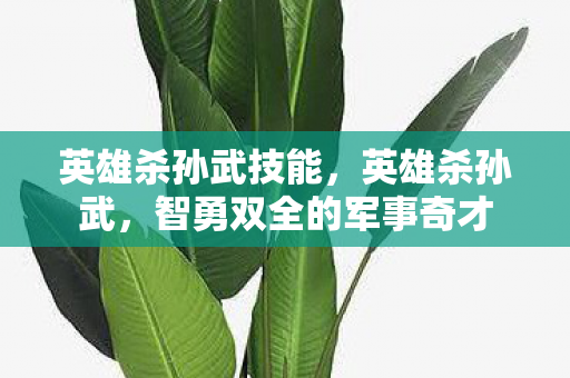英雄杀孙武技能,英雄杀孙武,智勇双全的军事奇才 英雄杀孙武技能,英雄杀孙武,智勇双全的军事奇才