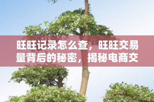 旺旺记录怎么查,旺旺交易量背后的秘密,揭秘电商交易的真相 旺旺记录怎么查,旺旺交易量背后的秘密,揭秘电商交易的真相