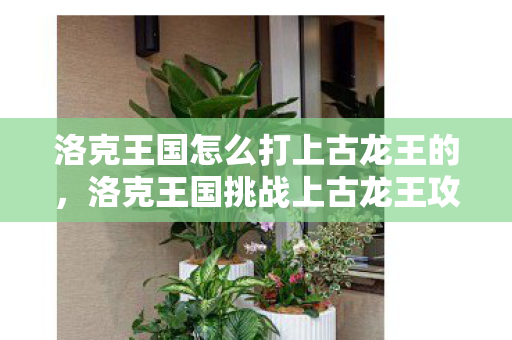 洛克王国怎么打上古龙王的,洛克王国挑战上古龙王攻略 洛克王国怎么打上古龙王的,洛克王国挑战上古龙王攻略