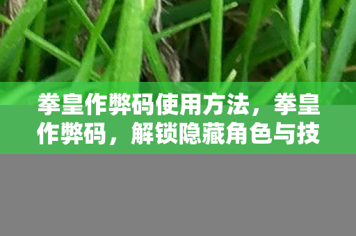 拳皇作弊码使用方法,拳皇作弊码,解锁隐藏角色与技能的神秘钥匙 拳皇作弊码使用方法,拳皇作弊码,解锁隐藏角色与技能的神秘钥匙