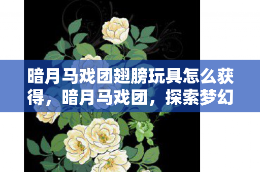 暗月马戏团翅膀玩具怎么获得,暗月马戏团,探索梦幻翅膀的奇幻之旅 暗月马戏团翅膀玩具怎么获得,暗月马戏团,探索梦幻翅膀的奇幻之旅
