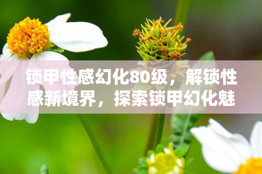 锁甲性感幻化80级,解锁性感新境界,探索锁甲幻化魅力 锁甲性感幻化80级,解锁性感新境界,探索锁甲幻化魅力