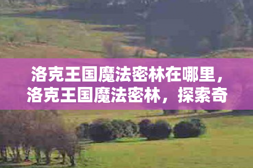 洛克王国魔法密林在哪里,洛克王国魔法密林,探索奇幻世界的奇妙之旅 洛克王国魔法密林在哪里,洛克王国魔法密林,探索奇幻世界的奇妙之旅