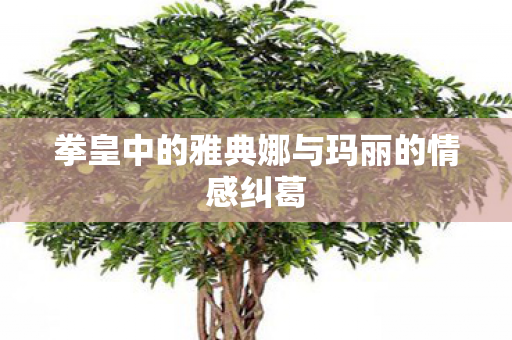 拳皇中的雅典娜与玛丽的情感纠葛 拳皇中的雅典娜与玛丽的情感纠葛