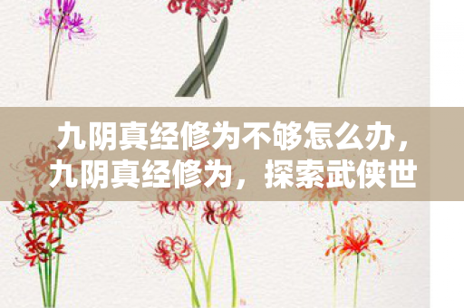 九阴真经修为不够怎么办，九阴真经修为，探索武侠世界的内功心法