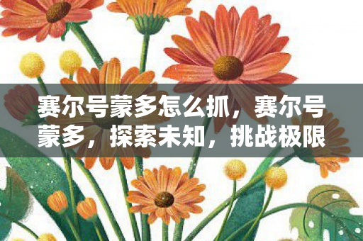 赛尔号蒙多怎么抓，赛尔号蒙多，探索未知，挑战极限的奇幻之旅