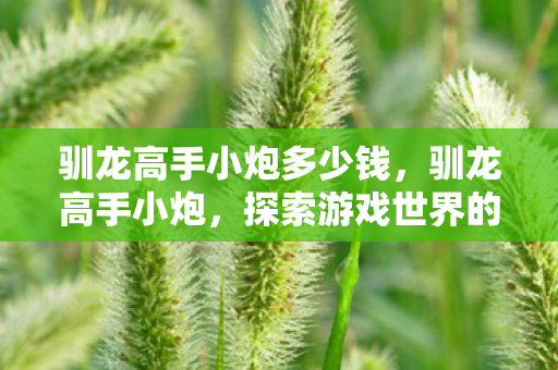 驯龙高手小炮多少钱，驯龙高手小炮，探索游戏世界的奇妙之旅