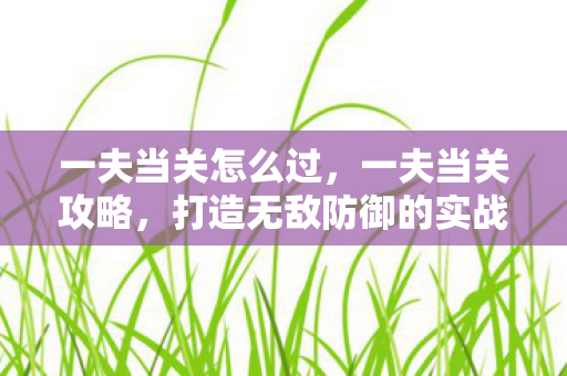 一夫当关怎么过,一夫当关攻略,打造无敌防御的实战指南 一夫当关怎么过,一夫当关攻略,打造无敌防御的实战指南