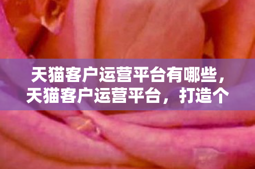 天猫客户运营平台有哪些，天猫客户运营平台，打造个性化购物体验