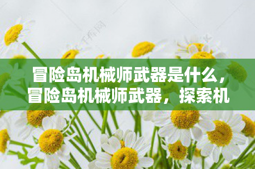 冒险岛机械师武器是什么,冒险岛机械师武器,探索机械之心的无限可能 冒险岛机械师武器是什么,冒险岛机械师武器,探索机械之心的无限可能
