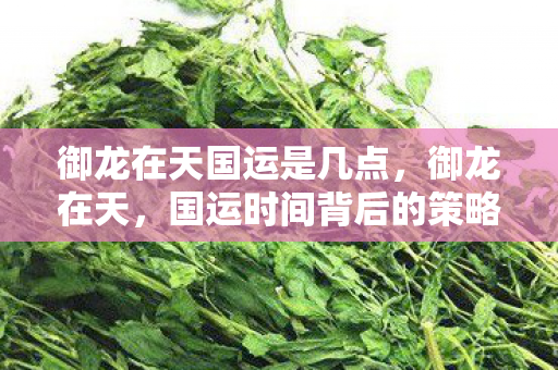 御龙在天国运是几点,御龙在天,国运时间背后的策略与激情 御龙在天国运是几点,御龙在天,国运时间背后的策略与激情