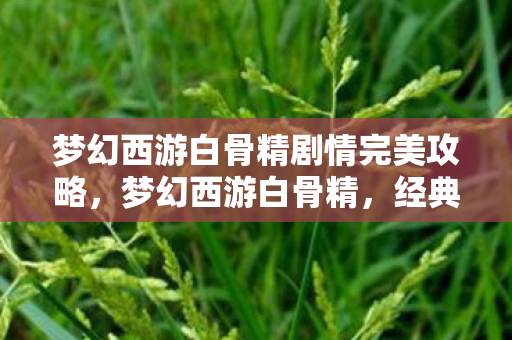 梦幻西游白骨精剧情完美攻略,梦幻西游白骨精,经典角色背后的传奇故事 梦幻西游白骨精剧情完美攻略,梦幻西游白骨精,经典角色背后的传奇故事