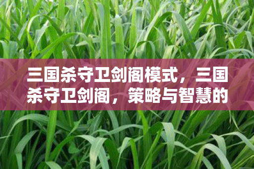 三国杀守卫剑阁模式,三国杀守卫剑阁,策略与智慧的碰撞 三国杀守卫剑阁模式,三国杀守卫剑阁,策略与智慧的碰撞