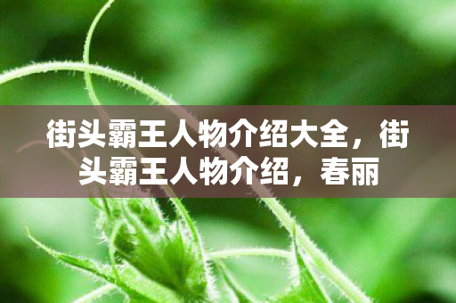 街头霸王人物介绍大全,街头霸王人物介绍,春丽 街头霸王人物介绍大全,街头霸王人物介绍,春丽