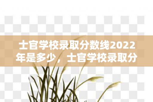 士官学校录取分数线2022年是多少,士官学校录取分数线2022,揭秘军校门槛新变化 士官学校录取分数线2022年是多少,士官学校录取分数线2022,揭秘军校门槛新变化