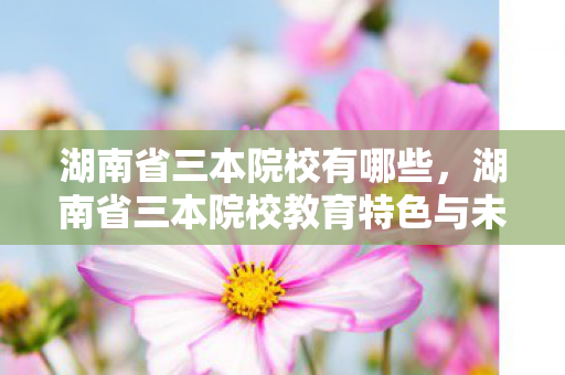湖南省三本院校有哪些,湖南省三本院校教育特色与未来发展展望 湖南省三本院校有哪些,湖南省三本院校教育特色与未来发展展望