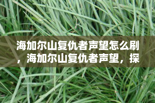海加尔山复仇者声望怎么刷,海加尔山复仇者声望,探索荣耀与挑战的征途 海加尔山复仇者声望怎么刷,海加尔山复仇者声望,探索荣耀与挑战的征途