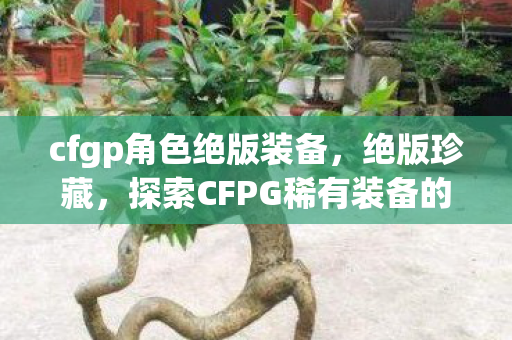 cfgp角色绝版装备，绝版珍藏，探索CFPG稀有装备的神秘魅力