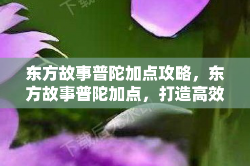 东方故事普陀加点攻略,东方故事普陀加点,打造高效普陀的加点策略 东方故事普陀加点攻略,东方故事普陀加点,打造高效普陀的加点策略