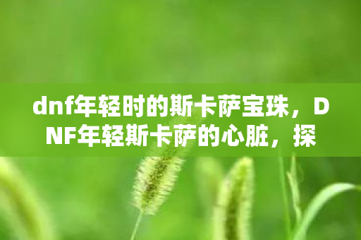 dnf年轻时的斯卡萨宝珠,DNF年轻斯卡萨的心脏,探索游戏背后的故事与情感 dnf年轻时的斯卡萨宝珠,DNF年轻斯卡萨的心脏,探索游戏背后的故事与情感