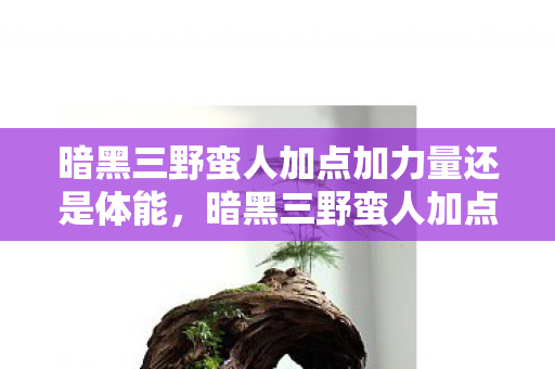 暗黑三野蛮人加点加力量还是体能,暗黑三野蛮人加点攻略,打造最强战斗机器 暗黑三野蛮人加点加力量还是体能,暗黑三野蛮人加点攻略,打造最强战斗机器