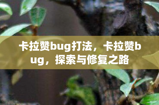 卡拉赞bug打法,卡拉赞bug,探索与修复之路 卡拉赞bug打法,卡拉赞bug,探索与修复之路
