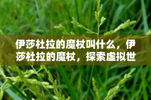 伊莎杜拉的魔杖叫什么，伊莎杜拉的魔杖，探索虚拟世界的奇幻之旅