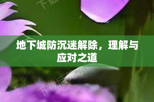 地下城防沉迷解除,理解与应对之道 地下城防沉迷解除,理解与应对之道