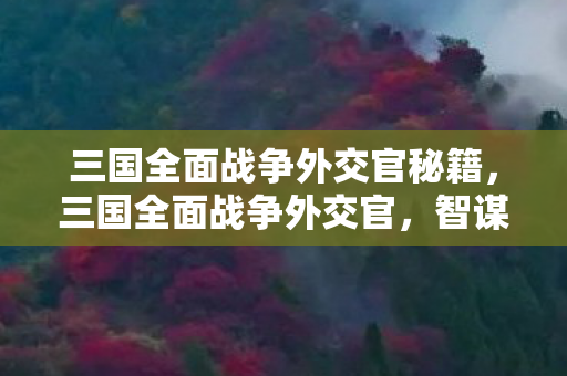 三国全面战争外交官秘籍,三国全面战争外交官,智谋与口才的较量 三国全面战争外交官秘籍,三国全面战争外交官,智谋与口才的较量