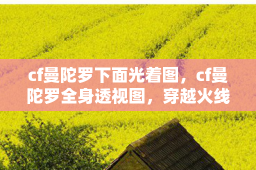 cf曼陀罗下面光着图，cf曼陀罗全身透视图，穿越火线的神秘魅力