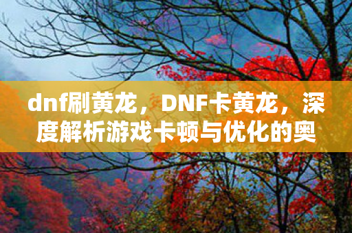 dnf刷黄龙,DNF卡黄龙,深度解析游戏卡顿与优化的奥秘 dnf刷黄龙,DNF卡黄龙,深度解析游戏卡顿与优化的奥秘