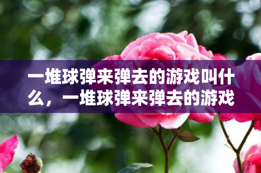 一堆球弹来弹去的游戏叫什么，一堆球弹来弹去的游戏，探索无限乐趣的弹力球世界