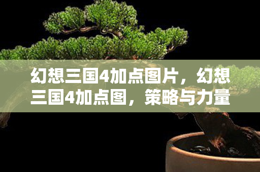 幻想三国4加点图片,幻想三国4加点图,策略与力量的完美融合 幻想三国4加点图片,幻想三国4加点图,策略与力量的完美融合